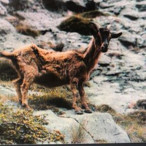 Meet your Posher, June